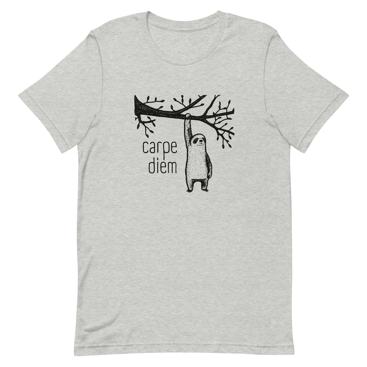 Carpe Diem - Seize the Day - Unisex t-shirt -Minimalist - Whimsical Sloth - Animal Lover - funny motivational