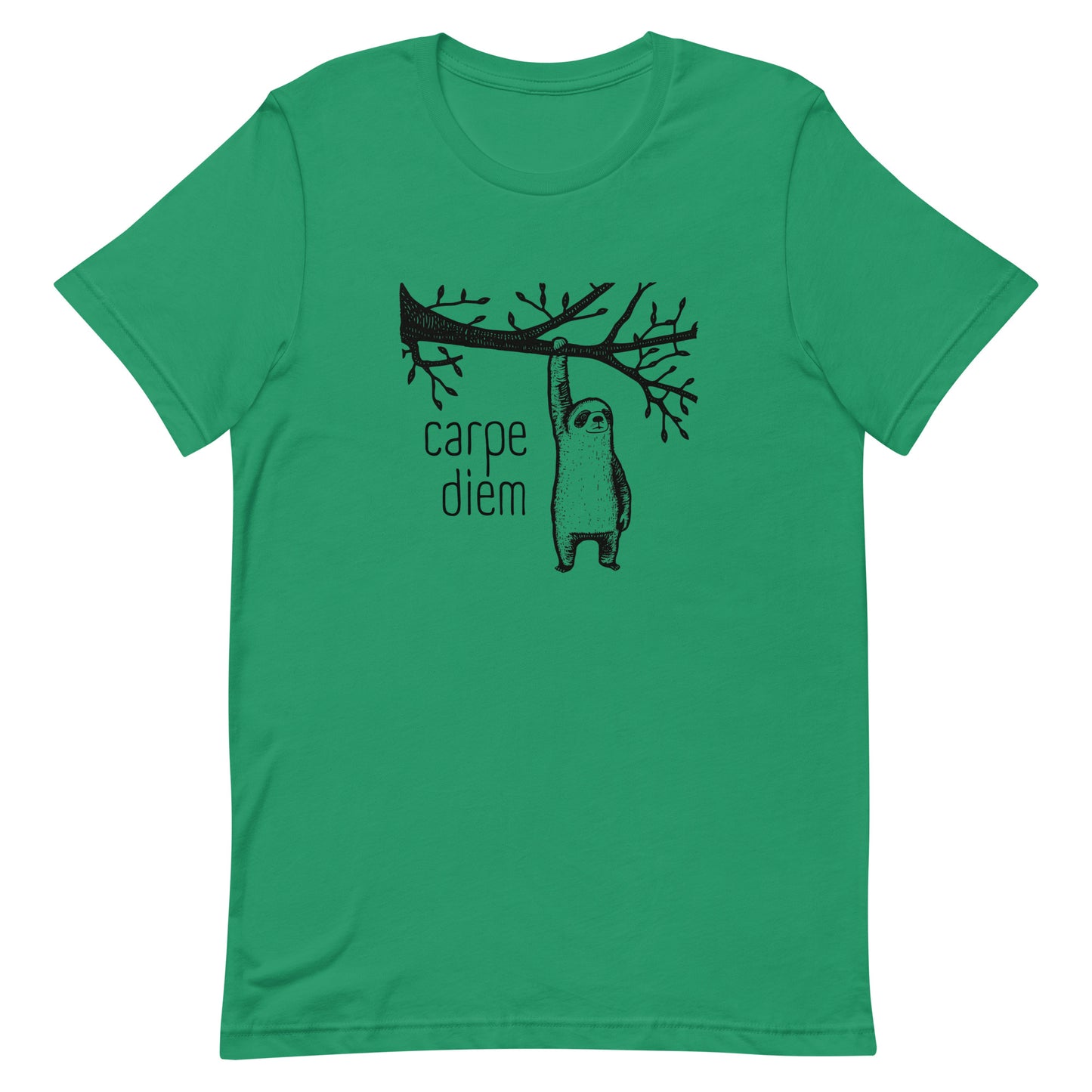 Carpe Diem - Seize the Day - Unisex t-shirt -Minimalist - Whimsical Sloth - Animal Lover - funny motivational