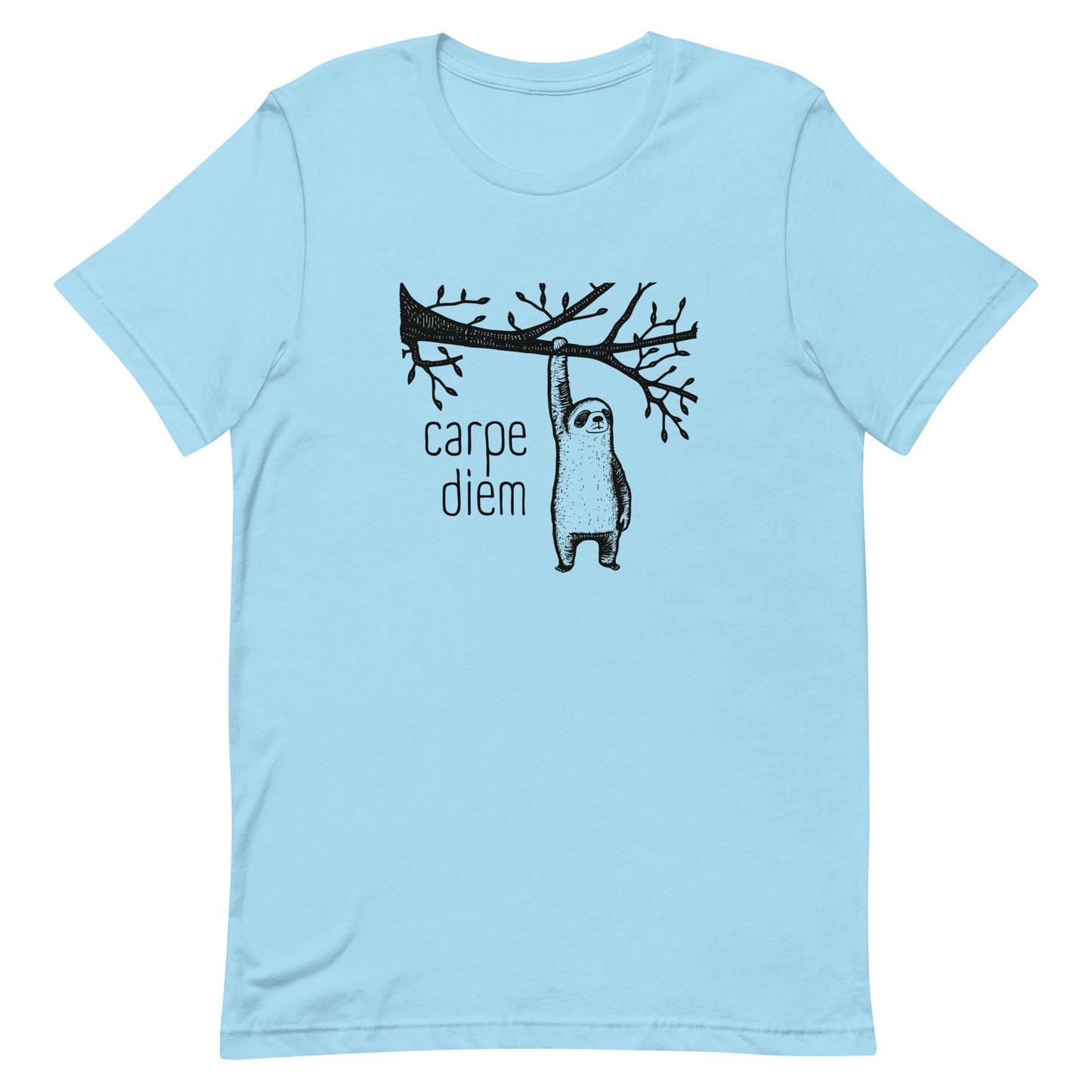 Carpe Diem - Seize the Day - Unisex t-shirt -Minimalist - Whimsical Sloth - Animal Lover - funny motivational