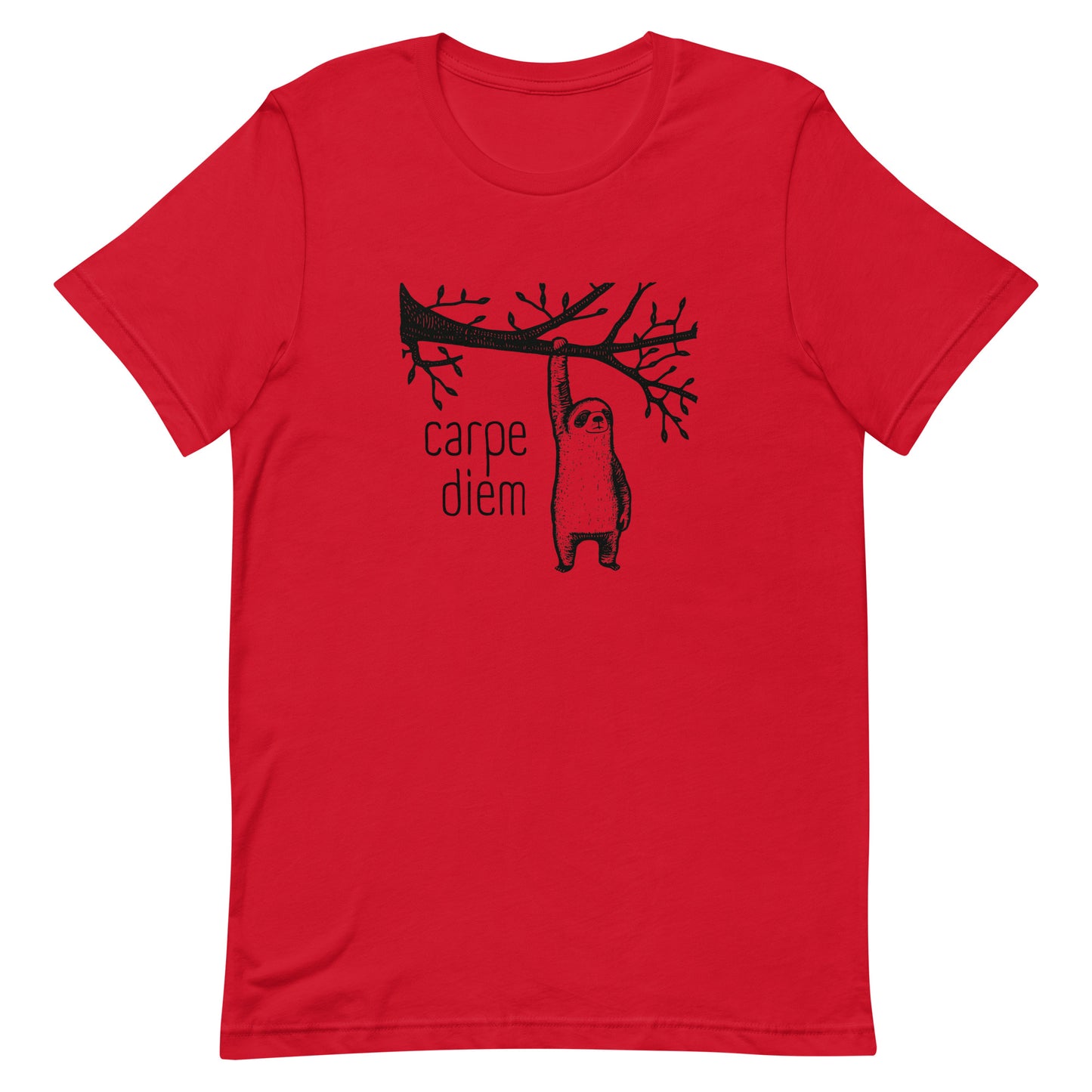 Carpe Diem - Seize the Day - Unisex t-shirt -Minimalist - Whimsical Sloth - Animal Lover - funny motivational